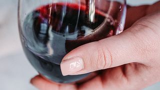 Visita e degustação no Crama Annwine
