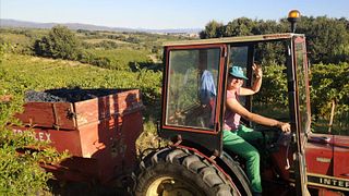 Cata de vinos y visita al Domaine Vaquer