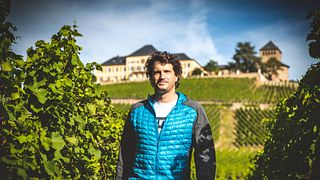 Weingut Trenz: A Historic Rheingau Winery