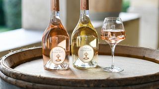 Cata de vinos en el Château Constantin