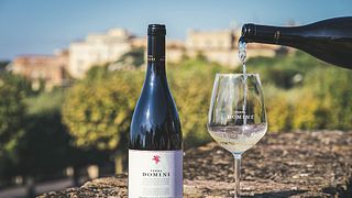Degustação de vinhos e tour em Gotto d'oro