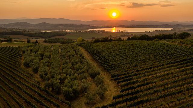 Azienda Agricola Madrevite
