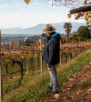 Cella Grande Winery