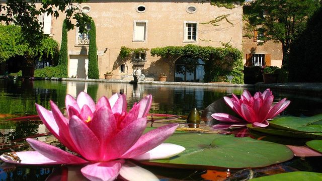 Château Saint Estève d'Uchaux