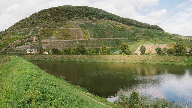 Schlagkamp Winery