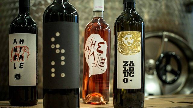 Cata de vinos y almuerzo ligero en Le Moire