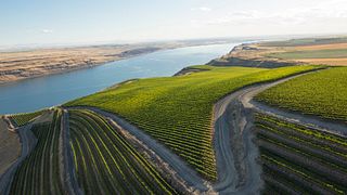 Long Shadows Vintners