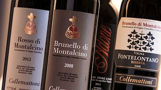 Collemattoni Winery