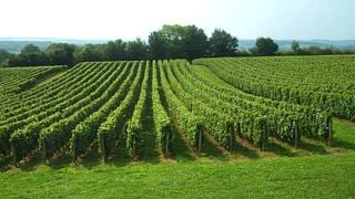 Domaine de L'Echelette