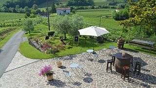 Zalatel premium wine tasting with cellar tour