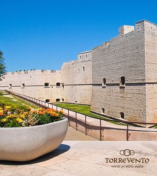 Dégustation de vins et visite à la Cantine Torrevento