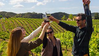Algarving Tours