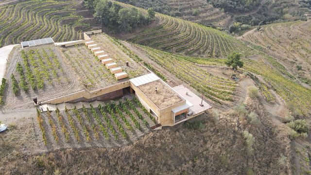 Njut av lyxig privat vintur till Priorat från Barcelona