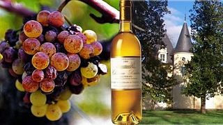 Weinprobe und Führung im Château Dudon