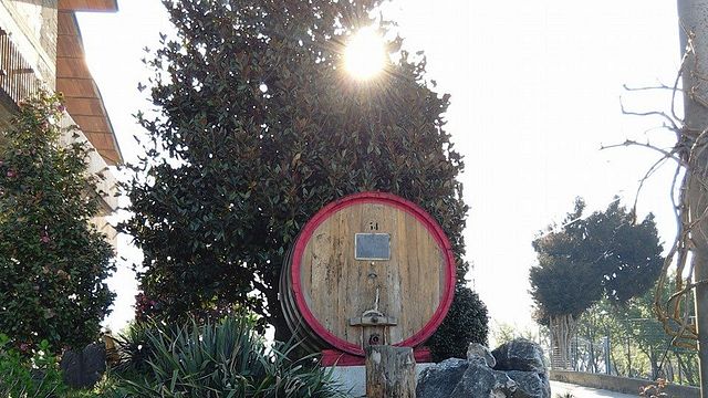 Wine Tasting and Tour at Cantina Del Barone
