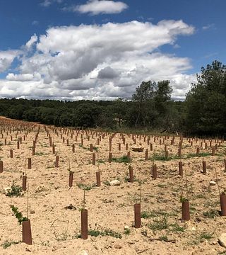 Dégustation de vins et visite chez Territorio Luthier