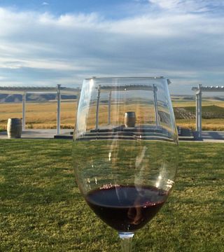 Weinprobe und Tour bei Lindsay Creek Vineyards
