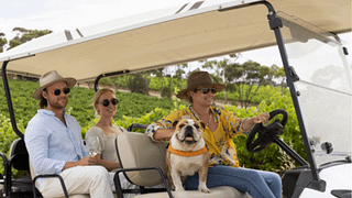Oliver's Taranga Vineyards