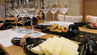Degustação de vinhos com aperitivos e visita à vinícola na Cantine Paolo Leo