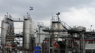 Visite privée des vignobles du centre d'Israël