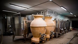 Create Your Bottle: Wine & Blend Experience in Umbria