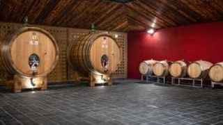 Weinprobe und Tour in der Azienda Agricola Biodinamica La Raia