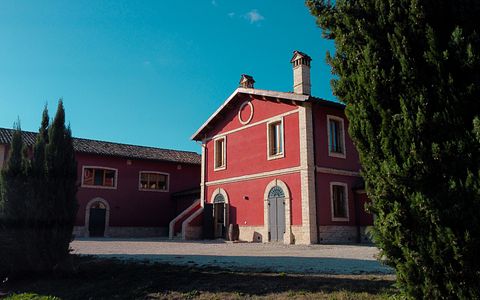 Uncover Marche Wine & Vineyard Escape at D'Erasmo