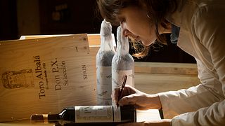 Ruta del Alquimista | Cata y Visita de Vinos en Bodegas Toro Albalá