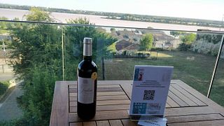 Degustazione di vini e tour a Vignobles Raboutet
