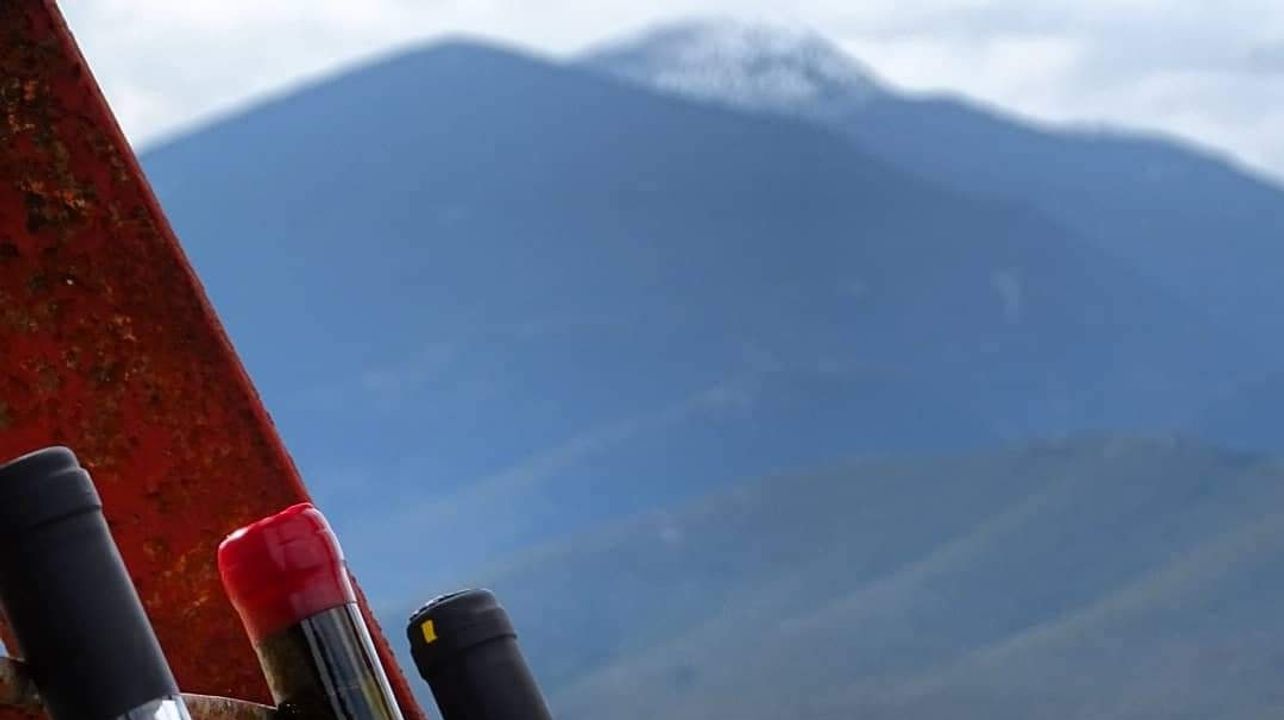 Peloponnese Moschofilero Vertical Tasting Journey