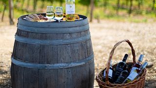 Dégustation de vins de terroir à Quinta Vale do Armo
