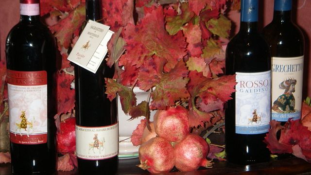 Degustação de vinhos e azeites no Colle del Saraceno