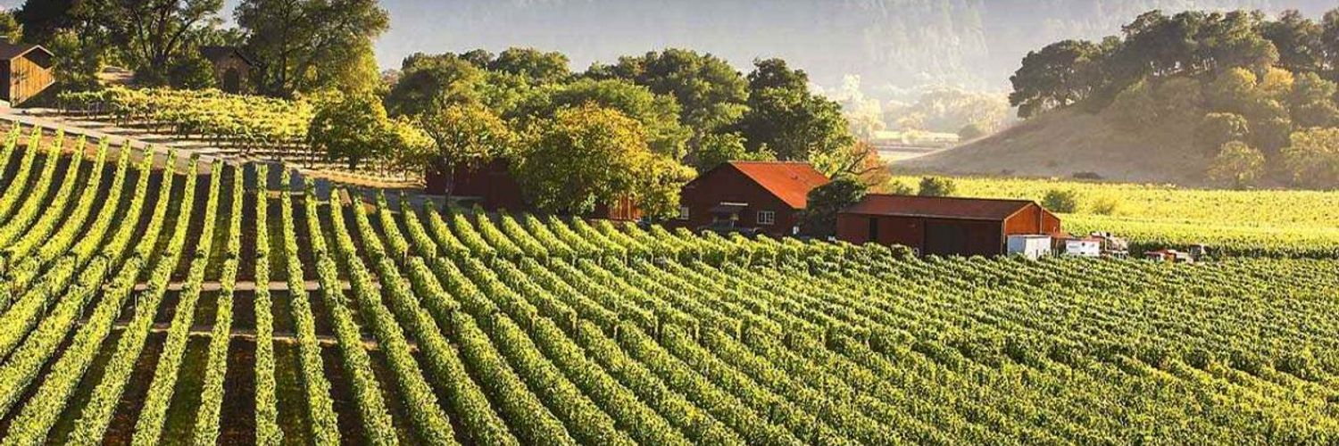 Wine-tourism-california-landscape Rzwvma