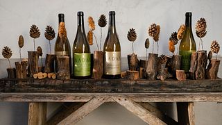 Weinprobe in einem kleinen gemütlichen Familienweingut in der Nähe von Budapest