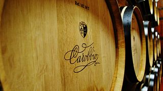 Tuscan Vineyard Tour & Wine Tasting at Carobbio