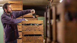 Degustação de vinhos e tour na Alsácia Gilbert Ruhlmann Son