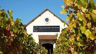 Burgundy's Finest: Pinot, Chardonnay & Aligoté Tasting