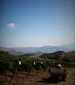 Tenuta San Giaime