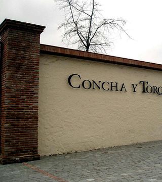 Cantina Concha y Toro - Tour classico con trasporto - REGOLARE
