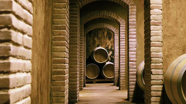 Cata y visita de vinos en Coca i Fitó