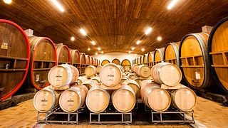 Baden's Finest: Affentaler Wine & Flavor Journey