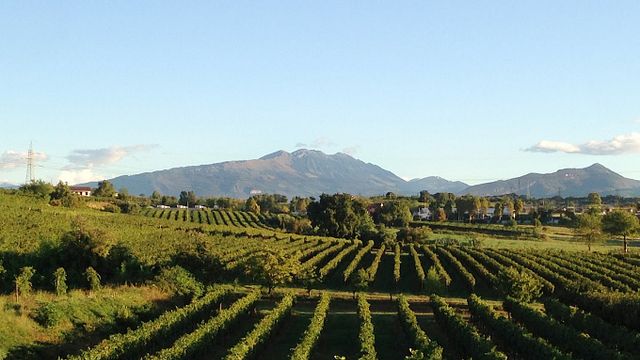 Degustazione e tour di vini a Corte Quaiara