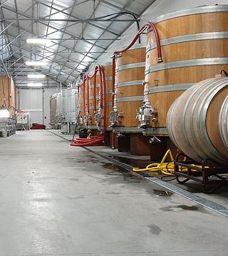 Visita e Degustação - Pretexto Tasting