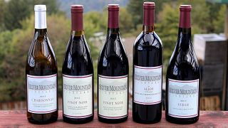 Degustazione di vini e tour ai vigneti di Silver Mountain