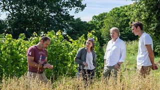 Dégustation et visite du Château l'Escarderie 