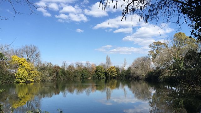 Cata de vinos y visita guiada en Casale Del Giglio Società Agricola