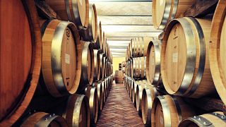 Tenuta Il Falchetto Winery