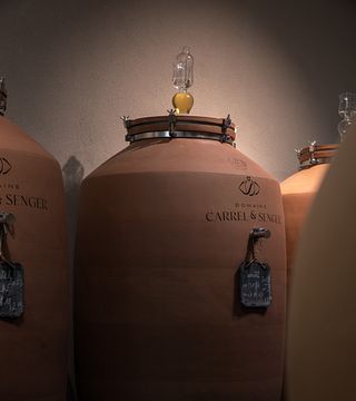 Domaine Carrel et Senger