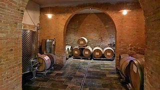 Visita e Degustazione in Vigna | Cascina Orizzonte