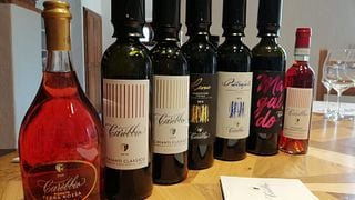 Tuscan Vineyard Tour & Wine Tasting at Carobbio